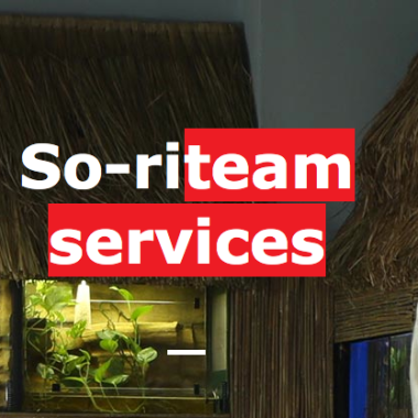 So-riteam services 