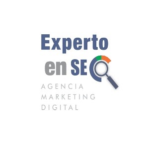 Experto en SEO
