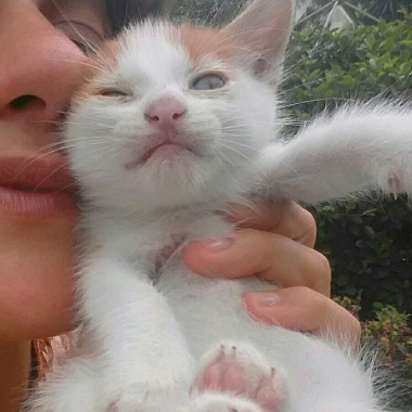 Viviana