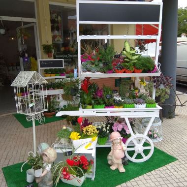 Atelier de Flores , Florista e Decoração