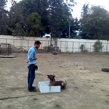 Salil sharma