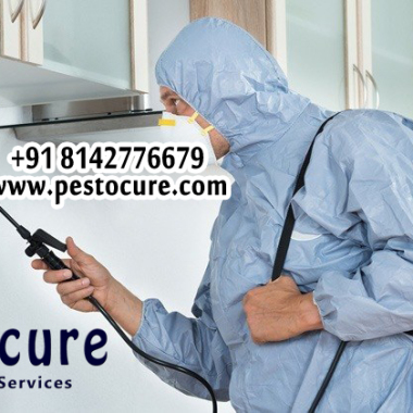 Pestocure Pest Control Services