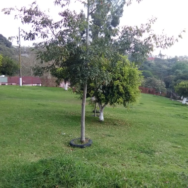 Gloria Ruiz Arcos