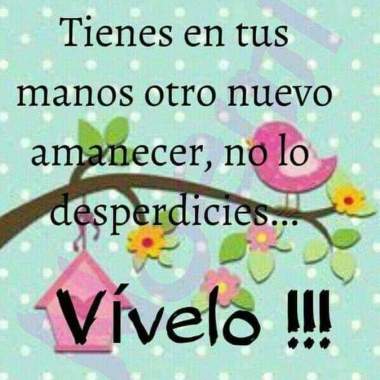 Cuidado especial