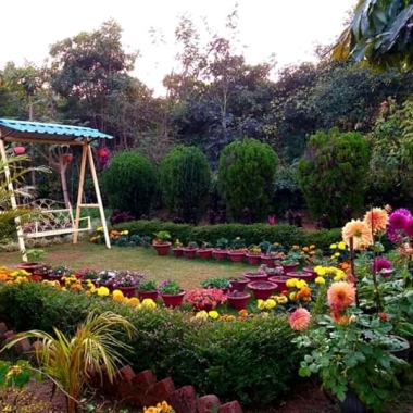 Gardener group kadodara