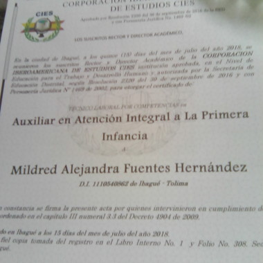 Profe particular