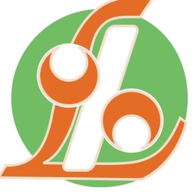 LOIO - CONTABILIDADES E SERVIÇOS LDA