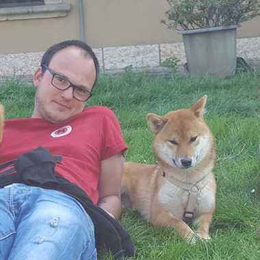 Centro Cinofilo Tomodachi  Shiba