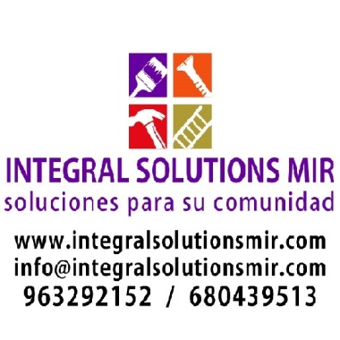 INTEGRAL SOLUTIONS MIR