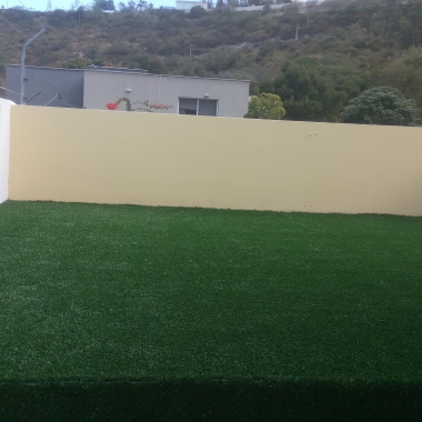 Jardineria limpieza buenavista