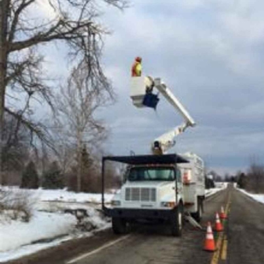 Edwards Tree ﹠ Land Clearing Services Inc