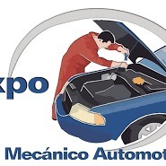 Mecánico electrónico automotriz particular