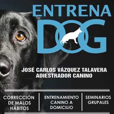 Entrenadog