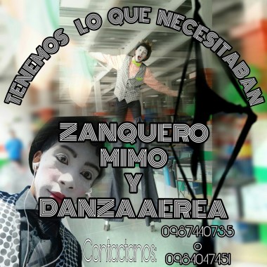 Zanquero noggy
