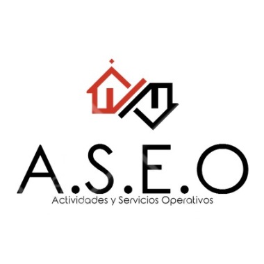 A.S.E.O Actividades y Servicios Operativos