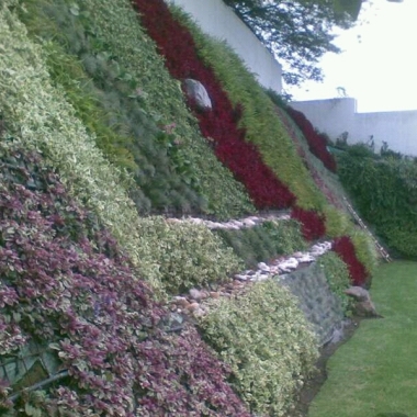 Ecoagrofumigaciones