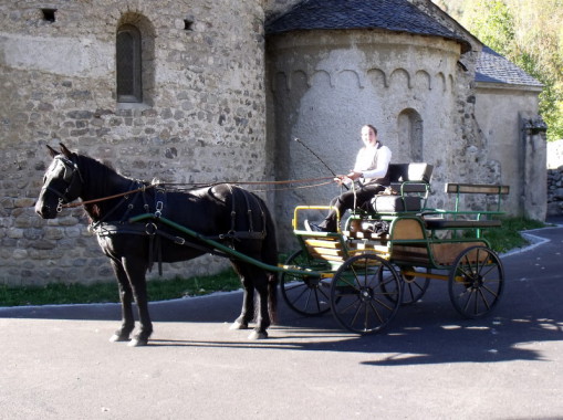 Prestation d'attelage avec nos chevaux de mérens
