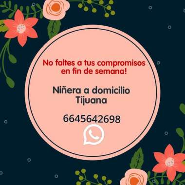 Niñera a domicilio