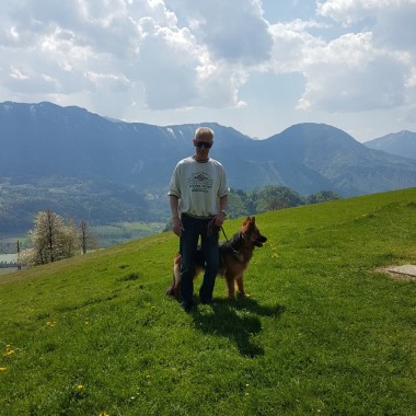 Dog Discipline