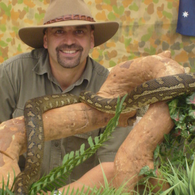 Reptiles Rule