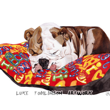 Luke Tomlinson Artwork