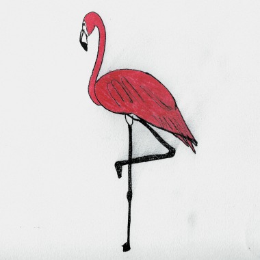 Tibostudio