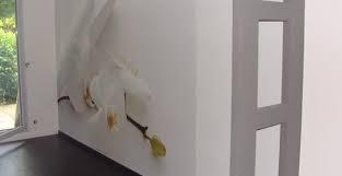 Dupont Décoration