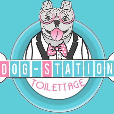 Toilettage Dog-station