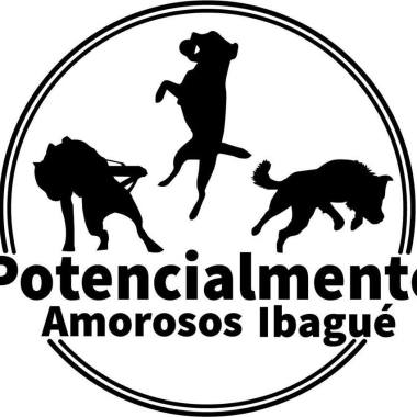 Potencialmente Amorosos Ibagué