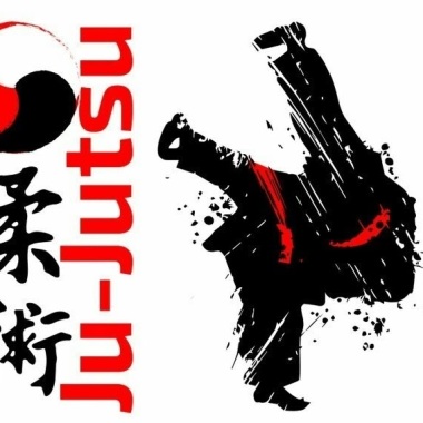 Jiu jitsu e judô