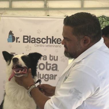 Dr. Blaschke Centro Veterinario