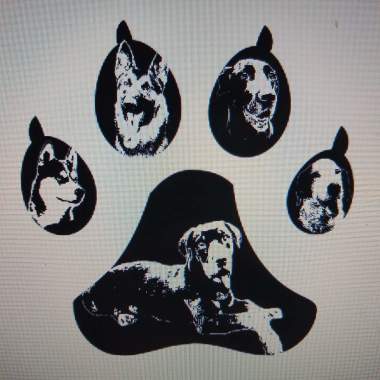 Adiestramiento canino Penta-army