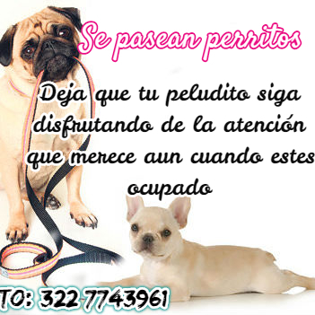 Paseador de perros