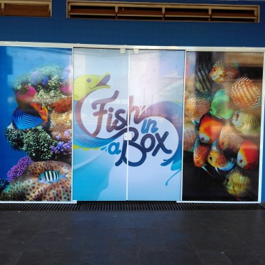 Fish in a box