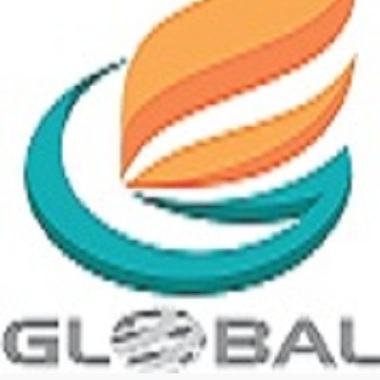 VIGILANT   GLOBAL  SAFEGUARD  INDIA (P) LTD