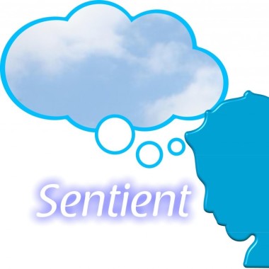Sentient Counselling