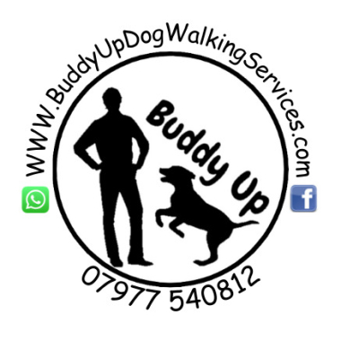 Buddy Up Dog Walking Services