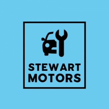 Automobile mechanician professional