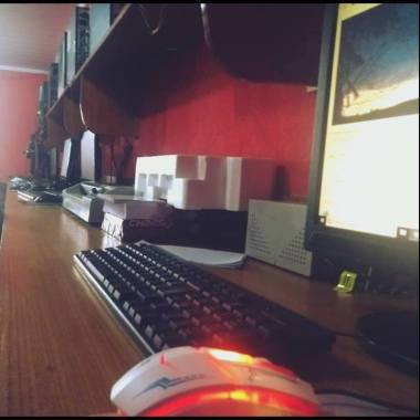 REAL HOUSE