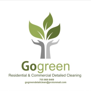 Go Green Detail Clean