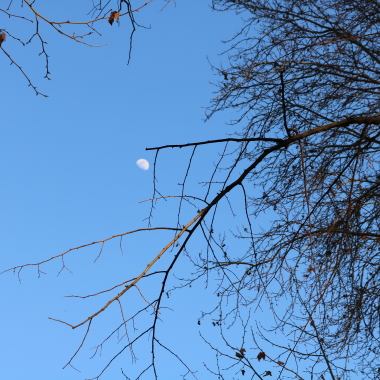CQN
