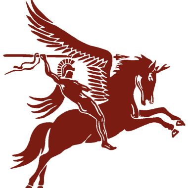 Pegasus Investigations Ltd