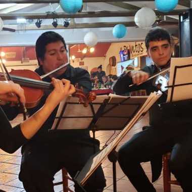 Cuarteto música docta