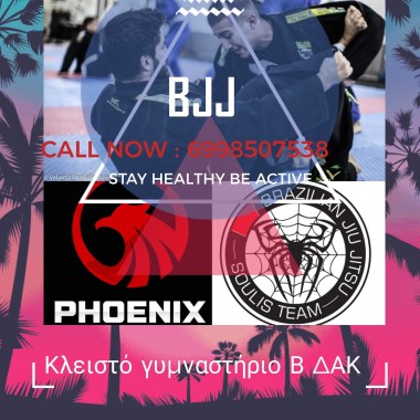 Phoenix Jiu Jitsu Katerini