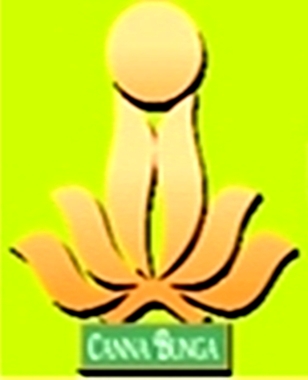 Canna bunga