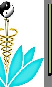 Medicina China y Fisioterapia