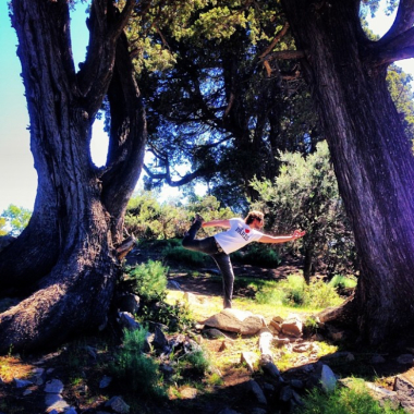 Clases de Yoga para todos los niveles