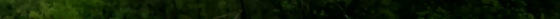Leader parcs et jardins