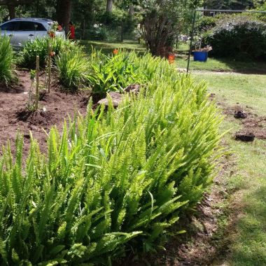 Gardenfix