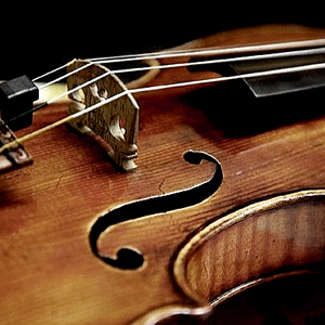 Violino Aprendiz